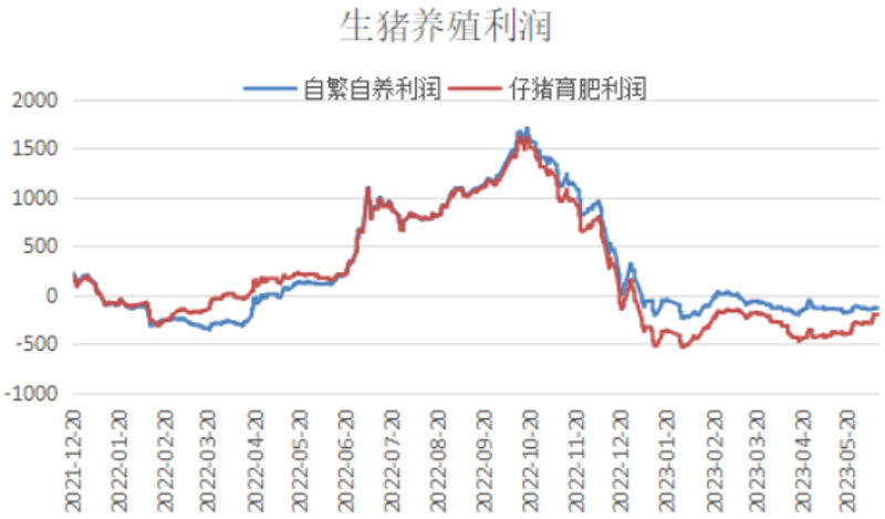 育肥猪产业动态:市场前景与养殖新技术